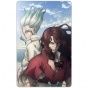 ������ ������������� "Dr. Stone" Senkuu � Tsukasa