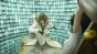 Oblivion Island: Haruka and the Magic Mirror ( )