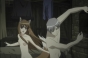 Spice and Wolf (   ( ))