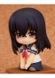Nendoroid Petite "Photo Kano"