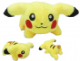   - Pokemon 