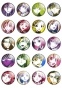 ����� ������� Code Geass No.5