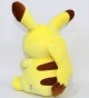  - Pokemon