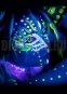    Innova Disco Green