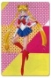    Bishoujo Senshi Sailor Moon 304849