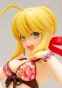 Saber Fate/Extra Version FG7050