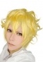   Karneval Anime Yogi