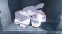     / Mahou Shoujo Site [DVD]