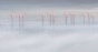   / Harmony [DVD]