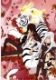 ������ �������� Katekyo Hitman Reborn! � 2