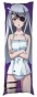   Infinite Stratos Laura Bodewig  