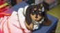 InuHasa (ϸ     ) HD