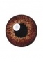     Cooper Vision Color Tones Brown