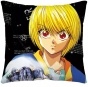  Hunter x Hunter PW49881