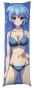   Infinite Stratos Tatenashi Sarashiki  