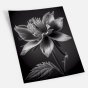 ����� �������� ��� ��������� - Black & White Flowers
