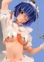 Ikkitousen -Xtreme Xecutor- Ryomou Shimei Costume Carnival Miyazawa Limited