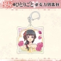 ������ �� ����� Diaries Maomao acrylic key � ������������