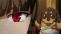InuHasa (ϸ     ) HD