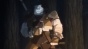 ����� ����� ��� ���������� � ���� / Zero kara Hajimeru Mahou no Sho