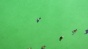 ��� ��-1 / Days TV-1