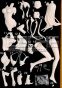 Satellizer L. Bridgette Sexy Ver. FG6436