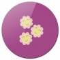 ������ ��������� ������� My Little Pony - Cheerilee Logo