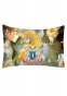  Katekyo Hitman Reborn 49381