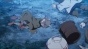 ������� ������ ������ / Kiitarou Shounen no Youkai Enikki
