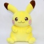  - Pokemon
