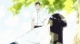       / Koi wa Ameagari no You ni [DVD]