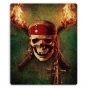    Pirates of the Caribbean 309999