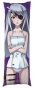   Infinite Stratos Laura Bodewig  