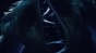������� ������� ��-2 / Kagewani: Shou [13 �� 13]