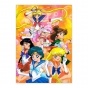 ������ �������� Bishoujo Senshi Sailor Moon: Super Team