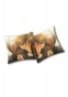  Code Geass 49492