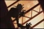 Blood: The Last Vampire (:  ) HD