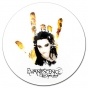 ������ ��������� ������� Evanescence - The open door