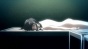 ����� ��: ������ / B: The Beginning [HD]