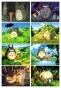   Tonari no Totoro No.7