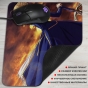    Fate/stay night 308274