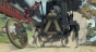 Steamboy ()