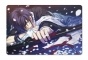    Hakuouki: Shinsengumi Kitan 301430