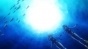   -2 / Amanchu! Advance [DVD]