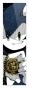 �������� ��� ���� Sonic 2