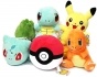    Pokemon (5 )