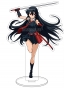 ������� ��������� Akame ga Kill! - ����� (Akame)