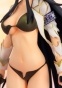 Senran Kagura Shoujotachi no Shinei - Ikaruga Damage ver.
