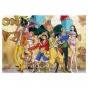 ���� One Piece Group (������ A3, 252 ������)
