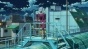Uchouten Kazoku (������������ �������) HD